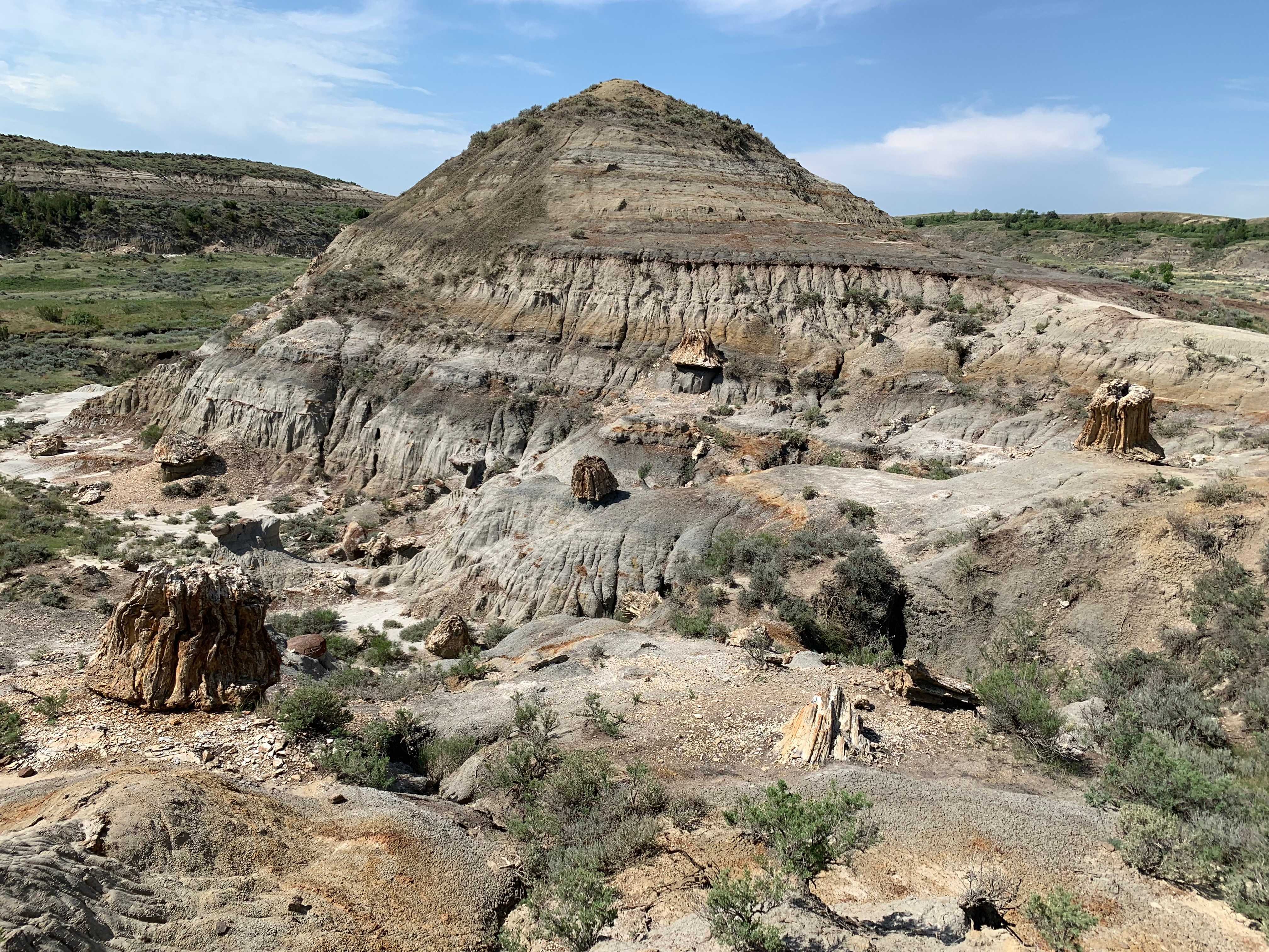 Theodore Roosevelt NP